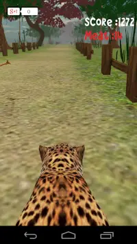 Exécutez: Cheetah 3D Screen Shot 5