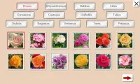 Guess the Flower: Tile Puzzles Screen Shot 1