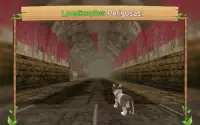Simulação de Gatos Online Screen Shot 5