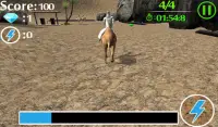 гонки на верблюдах Screen Shot 2