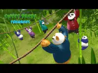 Игры сладкой Panda Fun Screen Shot 1