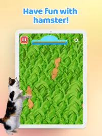 Games for Cat－Toy Mouse & Fish Screen Shot 11