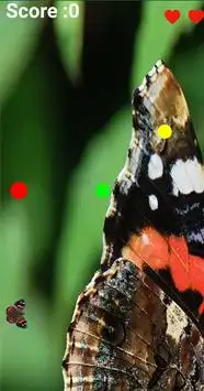 Red Butterfly Screen Shot 6