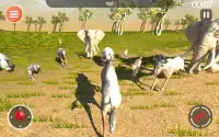 Leopard Game 3D - Симулятор для животных Safari Screen Shot 15