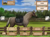 Pony Trails Screen Shot 12