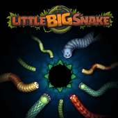 Little Big Snake (IO)