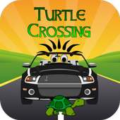 Turtle Crossing v.4