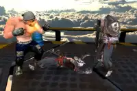 Superhero wrestling 3D – kung fu fighter Screen Shot 0