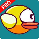 Khmer Happy Bird Pro