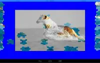 Horses Puzzle Screen Shot 8