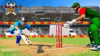 Cricket Super Sixes Screen Shot 3