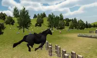 Horse Racing Adventure Screen Shot 1