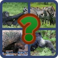 GUESS: AFRICAN ANIMAL