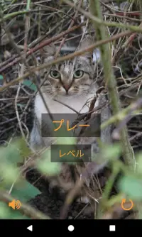 猫を見つける Screen Shot 6