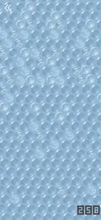 Bubble Wrap Screen Shot 1