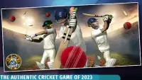 Epic Cricket - Big League Game Screen Shot 0