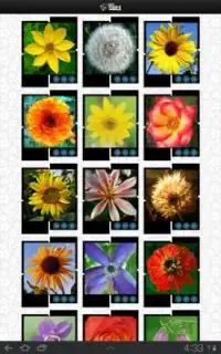 Flowers Puzzle – MPW Screen Shot 13
