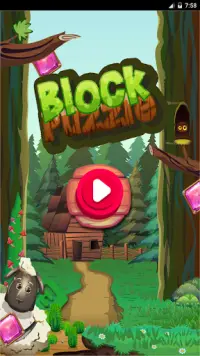 Block Puzzle Legend 2020 Screen Shot 1