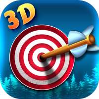 Archery Master - King Of Shooting Bow Puzzle Games