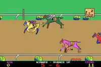 Horse Racing Screen Shot 4