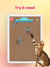 Games for Cat－Toy Mouse & Fish Screen Shot 12