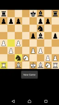 Chess Pro Screen Shot 4