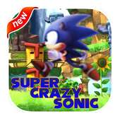 Super Crazy Sonic