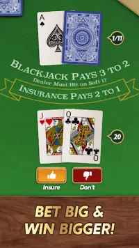 Blackjack Screen Shot 9