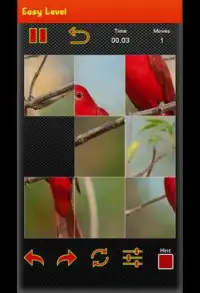 Picture Puzzle Game - Best Bird picture Screen Shot 4