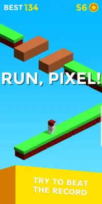 Run, Pixel, Run! Screen Shot 2