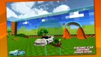 Multiplayer Racing Simulator Screen Shot 3