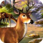 Deer Sniper Safari Hunt 2016