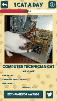 1 Cat a Day Screen Shot 1