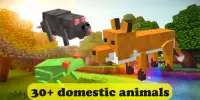 😺Cute Animals Mod for Minecraft😻 Screen Shot 2