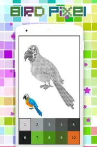 Coloring Bird Pixel Art, nach Anzahl Screen Shot 2