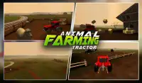 Animal Farming Tractor 3D Sim Screen Shot 13