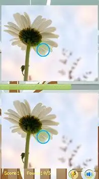 Trova Differenza Giochi fiori Screen Shot 2