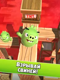 Angry Birds AR: Isle of Pigs Screen Shot 8