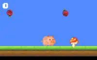 Piggy Bounce Screen Shot 1