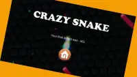 Crazy Snake - Slither Game Screen Shot 2