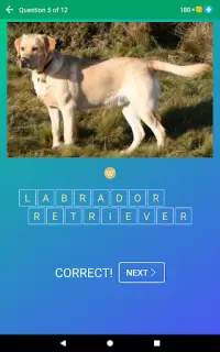 Dog Quiz: Guess the Breed — Game, Pictures, Test Screen Shot 9