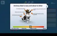 Dog Bite Prevention Strategy Screen Shot 10