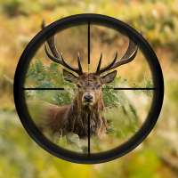 Ultimate Deer Hunting 3D