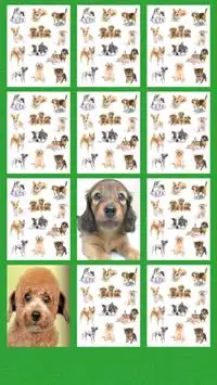 Puppy Puzzle Screen Shot 1