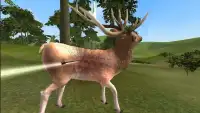 Safari Archer Jungle Deer Hunt Screen Shot 3