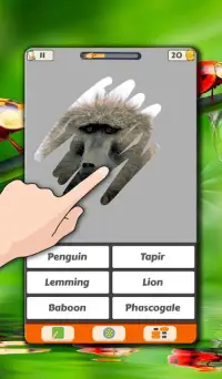 Animal Quiz. Scratch Trivia Game Screen Shot 3