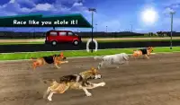 野生のグレイハウンド犬のレース Screen Shot 16