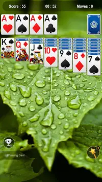 Solitaire Screen Shot 2