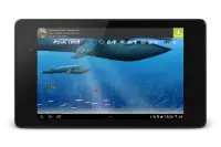 Wonder Fish Permainan Free HD Screen Shot 10