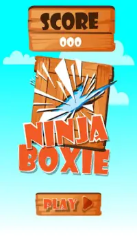 Ninja Boxie Screen Shot 0